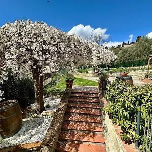 Bauernhof Tassinaia, Pontassieve