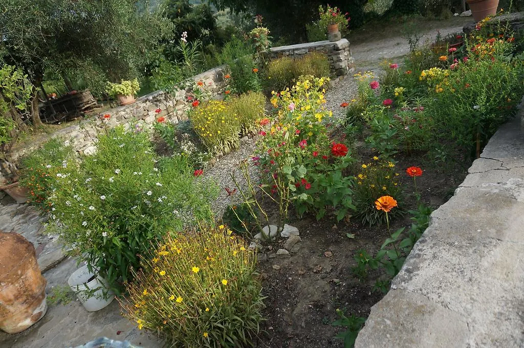 Agriturismo Podere Palazzuolo Pontassieve Italië